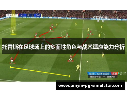 托雷斯在足球场上的多面性角色与战术适应能力分析