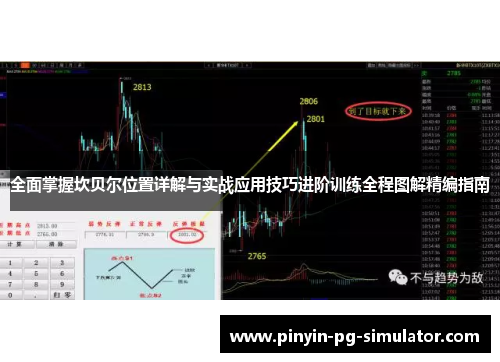 全面掌握坎贝尔位置详解与实战应用技巧进阶训练全程图解精编指南