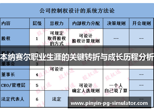 本纳赛尔职业生涯的关键转折与成长历程分析