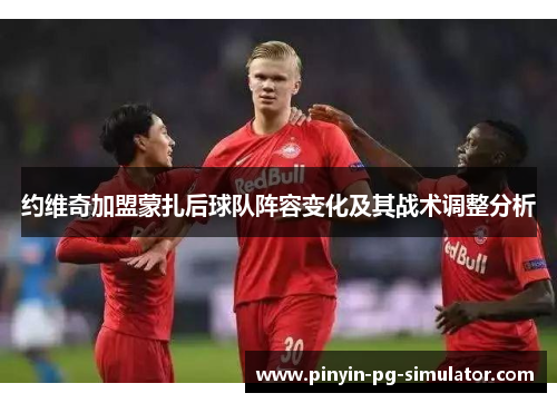 约维奇加盟蒙扎后球队阵容变化及其战术调整分析